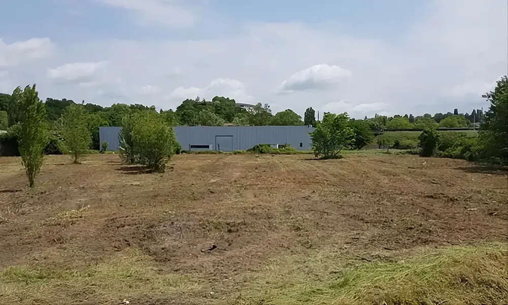 débroussaillage - après